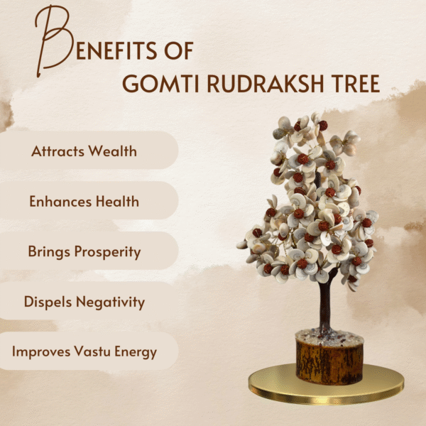 Gomati Rudraksha Tree - Image 2
