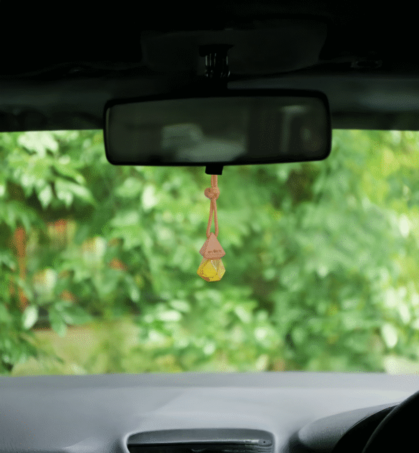 Car Hanging Perfume(Green Apple) - Image 3